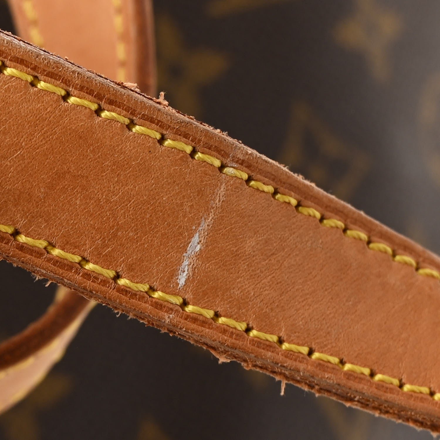 Monogram Cabas Mezzo - Image 10