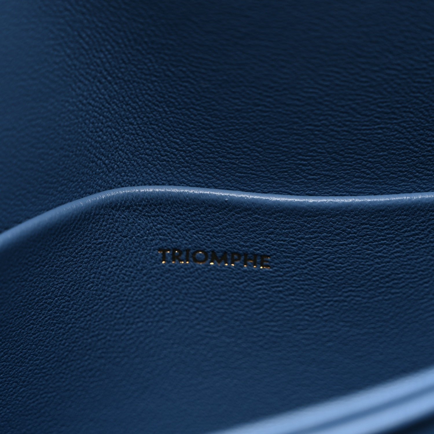 Shiny Calfskin Teen Triomphe Azure - Image 8