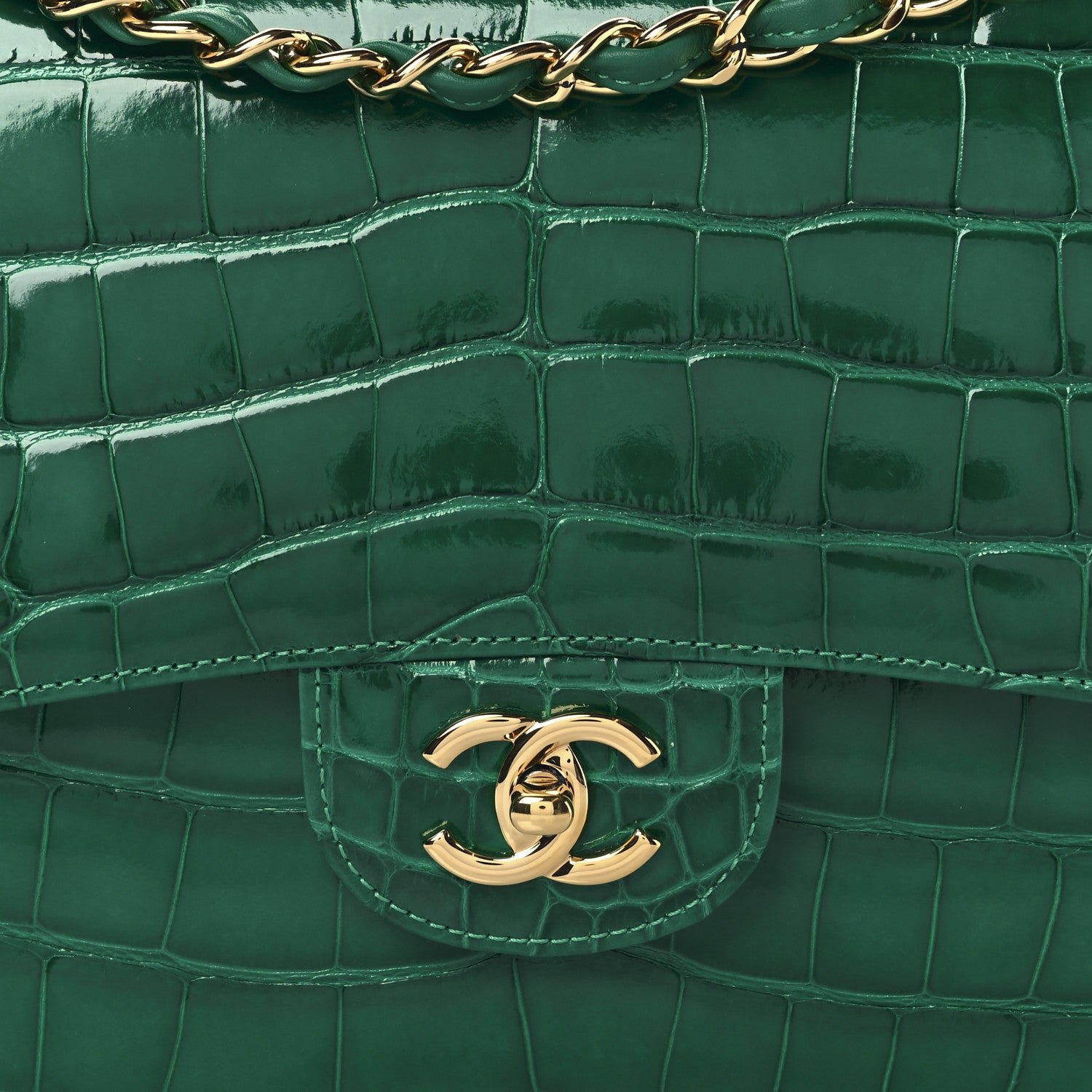 Alligator Jumbo Double Flap Green - Image 8