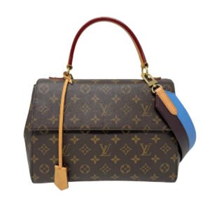 Louis Vuitton 2019 Cluny MM bag