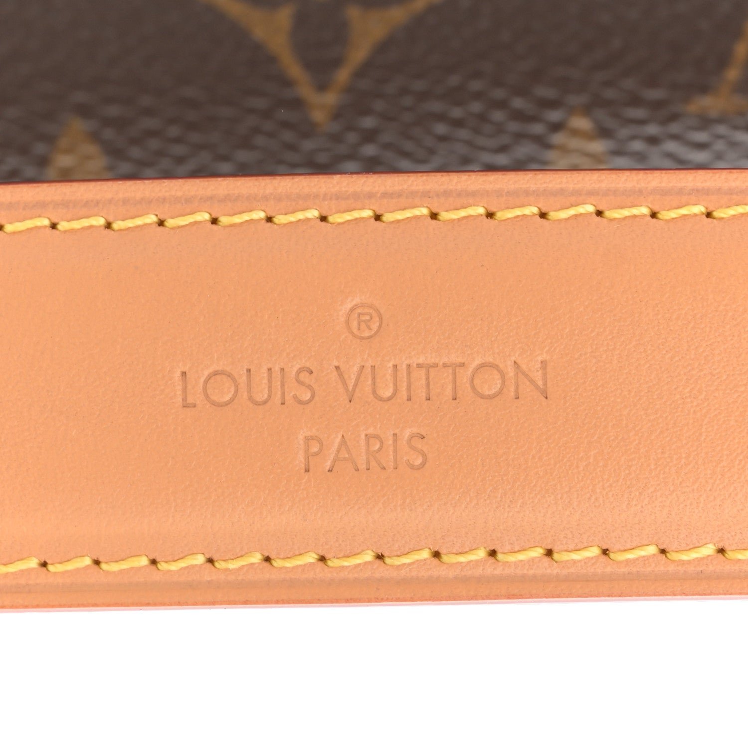 Monogram Side Trunk PM - Image 6